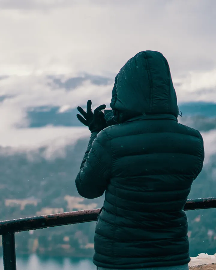Rear view of a person in a dark teal hooded puffer jacket photographing misty mountains.
